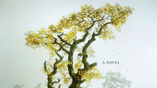 What book did you finally get around to reading in 2015?